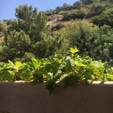 Sini 3a Apartment
